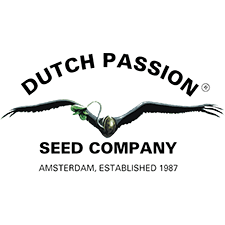 Dutch Passion