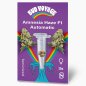 Preview: Bud Voyage Amnesia Haze F1 Automatic Verpackung Vorderseite mit 3 Samen
