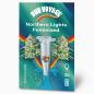 Preview: BudVoyage Northern Lights Feminisiert – Stilvolle Verpackung mit modernem Design & klarer Produktkennzeichnung.