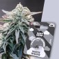 Preview: Holy Hemp White Widow Auto – Verpackung Vorderseite mit stilisierter Pflanzen-Nahaufnahme im Hintergrund. Autoflowering Hanfsamen mit 20–25 % THC und ikonischem White Widow Erbe.