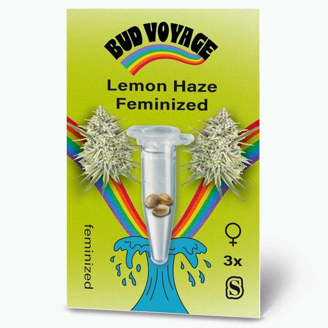 Preview: Vorderseite der Verpackung der Lemon Haze Sorte von Bud Voyage