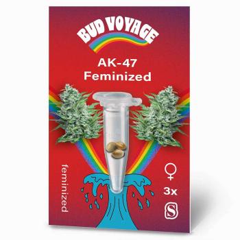 Preview: Bud Voyage AK-47 Feminisiert Preview: BudVoyage AK-47 Feminisiert – Stilvolle Verpackung mit modernem Design & klarer Produktkennzeichnung.