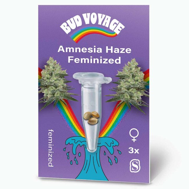 Bud Voyage Amnesia Haze Feminisiert Packung Vorderseite mit Logo und Cannabissblüten