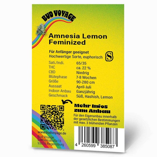 Preview: Bud Voyage Amnesia Lemon Feminisiert Preview: Rückseite der BudVoyage Amnesia Lemon Feminisiert Verpackung – Wichtige Informationen zu Blütezeit, Pflanzengröße, THC-Gehalt & Ertrag auf einen Blick.