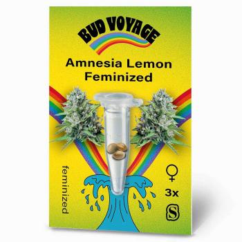 Preview: Bud Voyage Amnesia Lemon Feminisiert Preview: BudVoyage Amnesia Lemon Feminisiert – Stilvolle Verpackung mit modernem Design & klarer Produktkennzeichnung.