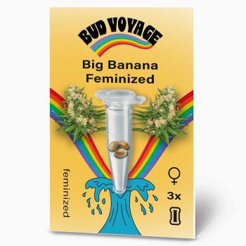 Preview: Bud Voyage Big Banana Feminisiert Preview: Bud Voyage Big Banana Feminisiert – Stilvolle Verpackung mit modernem Design & klarer Produktkennzeichnung.