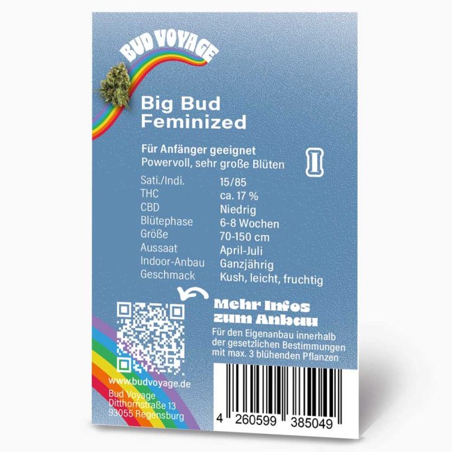 Rückseite der BudVoyage Big Bud Feminisiert Verpackung – Wichtige Informationen zu Blütezeit, Pflanzengröße, THC-Gehalt & Ertrag auf einen Blick.
