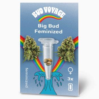 BudVoyage Big Bud Feminisiert – Stilvolle Verpackung mit modernem Design & klarer Produktkennzeichnung.