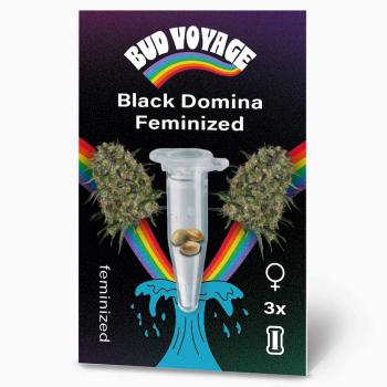 Preview: Bud Voyage Black Domina Feminisiert Preview: BudVoyage Black Domina Feminisiert – Stilvolle Verpackung mit modernem Design & klarer Produktkennzeichnung.