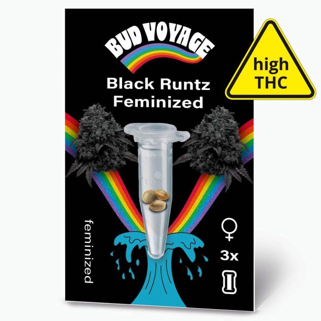 Preview: Bud Voyage Black Runtz Feminisiert Verpackung Vorderseite mit 3 Samen