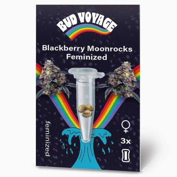 Preview: Bud Voyage Blackberry Moonrocks Feminisert Preview: BudVoyage Blackberry Moonrocks Feminisiert – Stilvolle Verpackung mit modernem Design und klarer Produktkennzeichnung.