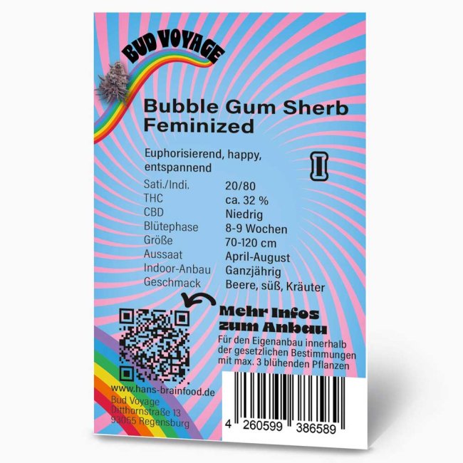 Bud Voyage Bubble Gum Sherb Feminisiert Packung Rückseite mit wichtigen Informationen