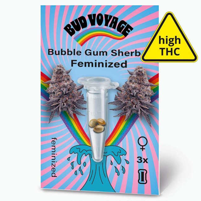 Bud Voyage Bubble Gum Sherb Feminisiert Packung Vorderseite mit Logo und Cannabissblüten