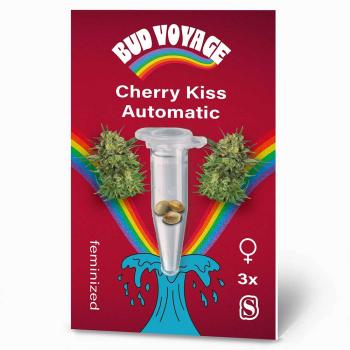 Bud Voyage Cherry Kiss Automatic – Stilvolle Verpackung mit modernem Design und klarer Produktkennzeichnung.