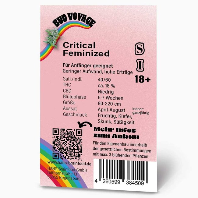 Preview: Bud Voyage Critical Feminisiert Preview: Rückseite der Bud Voyage Critical Feminisiert Verpackung – Wichtige Informationen zu Blütezeit, Pflanzengröße, THC-Gehalt & Ertrag auf einen Blick.