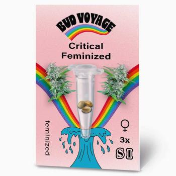 Preview: Bud Voyage Critical Feminisiert Preview: Bud Voyage Critical Feminisiert – Stilvolle Verpackung mit modernem Design & klarer Produktkennzeichnung.
