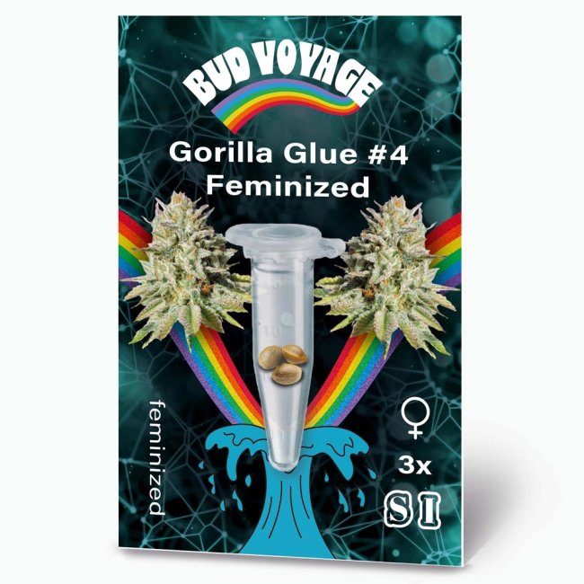 Bud Voyage Gorilla Glue #4 Feminisiert