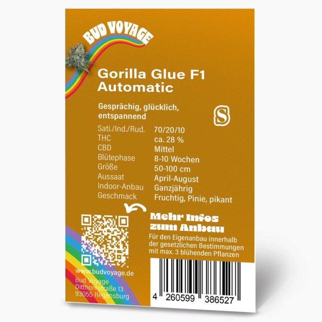 Rückseite der Gorilla Glue F1 Automatic Samenpackung von Bud Voyage – Informationen zur Sorte, Blütezeit, Größe und mehr.
