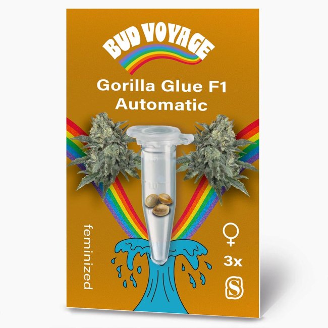 Vorderseite der Gorilla Glue F1 Automatic von Bud Voyage mit Regenbogenlogo und abgebildeten Buds