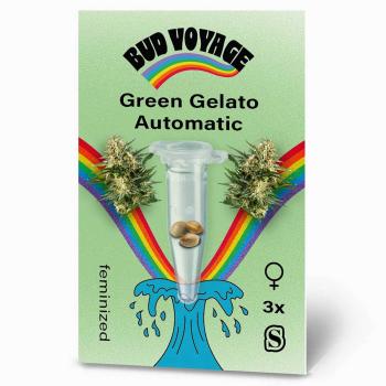 Vorderseite der Green Gelato Automatic Samenpackung von Bud Voyage – modernes Design mit Sortennamen und Logo