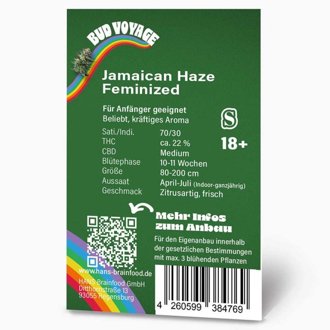 Rückseite der Bud Voyage Jamaican Haze Feminisiert Verpackung – Wichtige Informationen zu Blütezeit, Pflanzengröße, THC-Gehalt & Ertrag auf einen Blick.