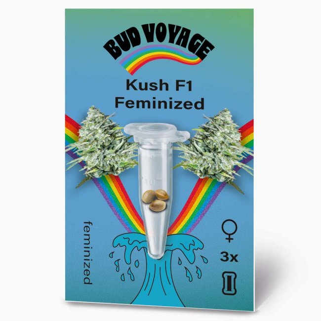 Preview: Bud Voyage Kush F1 Feminisiert Verpackung Vorderseite mit 3 Samen