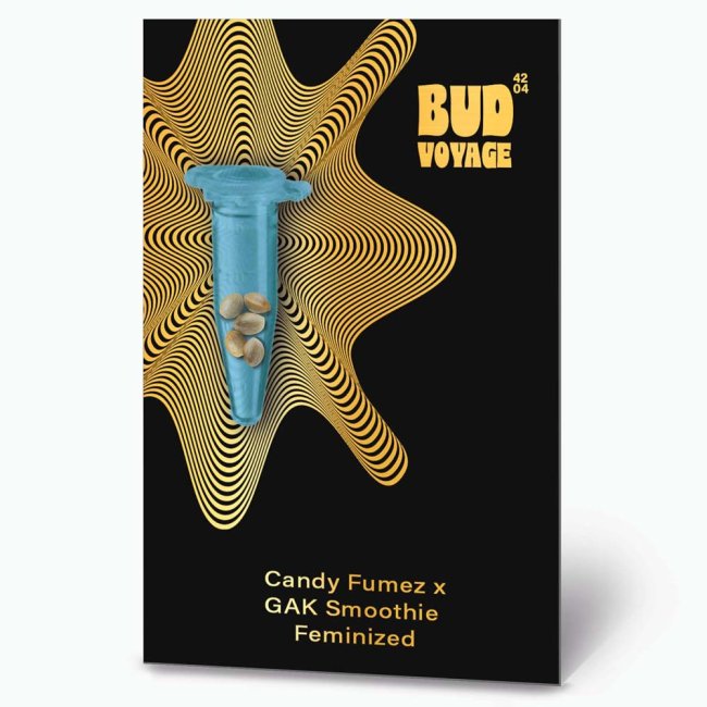 Bud Voyage PREMIUM US Candy Fumez x GAK Smoothie Verpackungsvorderseite mit 5 Samen