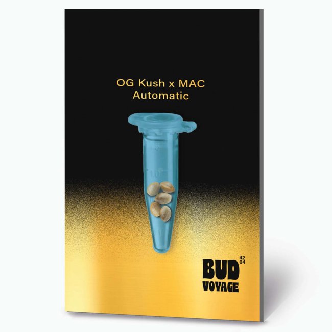 Bud Voyage PREMIUM US OG Kush x MAC Automatic Verpackungsvorderseite mit 5 Samen