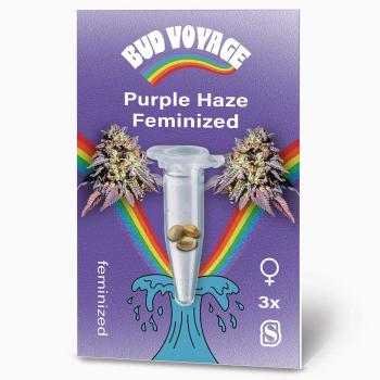 BudVoyage Purple Haze Feminisiert – Stilvolle Verpackung mit modernem Design und klarer Produktkennzeichnung.