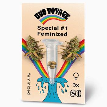Bud Voyage Special #1 Feminisiert – Stilvolle Verpackung mit modernem Design & klarer Produktkennzeichnung.
