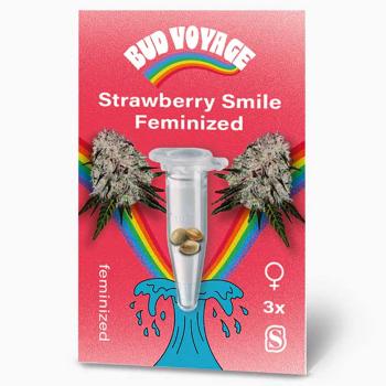 Bud Voyage Strawberry Smile Feminisiert – Verpackungsvorderseite mit stilvollem Design und Sortennamen. Hochwertige Cannabis-Samen mit süßem Erdbeeraroma und ausgewogener Wirkung.