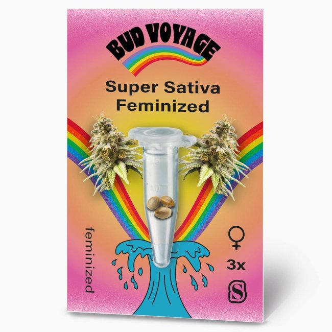 Bud Voyage Super Sativa Feminisiert Verpackung Vorderseite mit 3 Samen