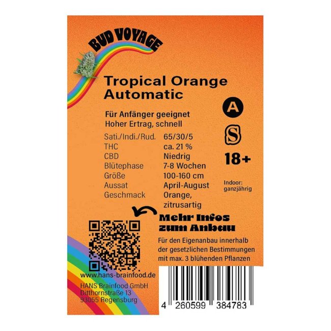Rückseite der BudVoyage Tropical Orange Automatic Verpackung – Wichtige Informationen zu Blütezeit, Pflanzengröße, THC-Gehalt und Ertrag auf einen Blick.