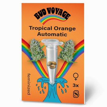 BudVoyage Tropical Orange Automatic – Stilvolle Verpackung mit modernem Design und klarer Produktkennzeichnung.