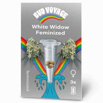 Bud Voyage White Widow Feminisiert – Stilvolle Verpackung mit modernem Design und klarer Produktkennzeichnung.