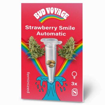 Vorderseite der Strawberry Smile Automatic von Bud Voyage in einem kräftig roten Design