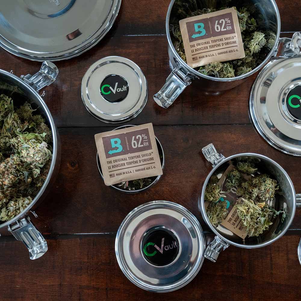 Mehrere Boveda CVault Edelstahlbehälter in verschiedenen Größen mit Cannabisblüten und Boveda Humidor Packs auf einem Tisch – ideale Lösung zur sicheren und frischen Aufbewahrung von Cannabis