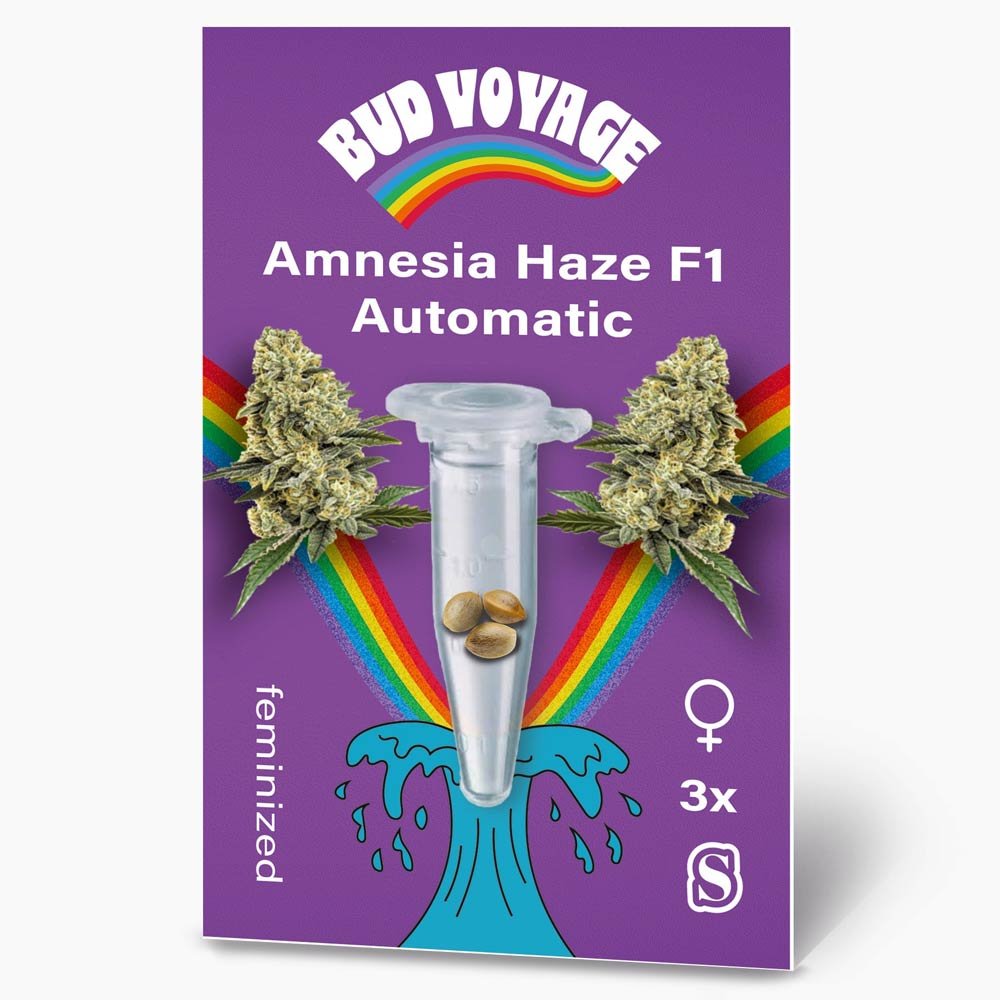 Bud Voyage Amnesia Haze F1 Automatic Verpackung Vorderseite mit 3 Samen