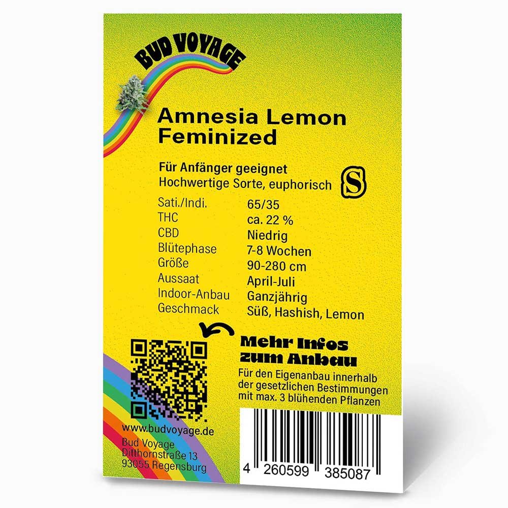 Rückseite der BudVoyage Amnesia Lemon Feminisiert Verpackung – Wichtige Informationen zu Blütezeit, Pflanzengröße, THC-Gehalt & Ertrag auf einen Blick.