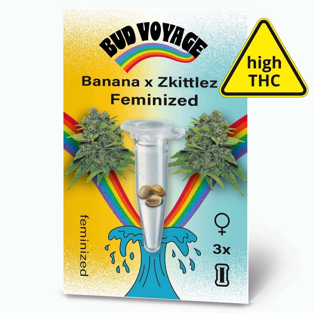 Bud Voyage Banana x Zkittlez Feminisiert Verpackung Vorderseite mit 3 Samen