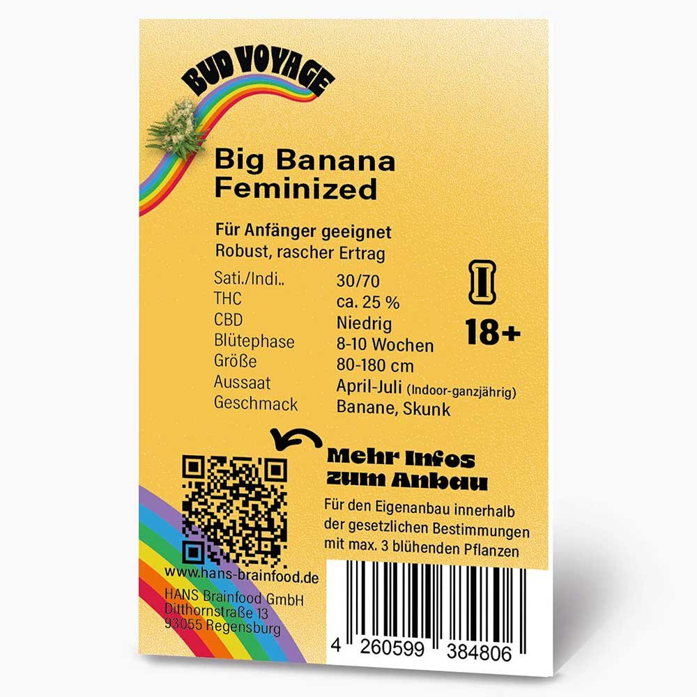 Rückseite der Bud Voyage Big Banana Feminisiert Verpackung – Wichtige Informationen zu Blütezeit, Pflanzengröße, THC-Gehalt & Ertrag auf einen Blick.