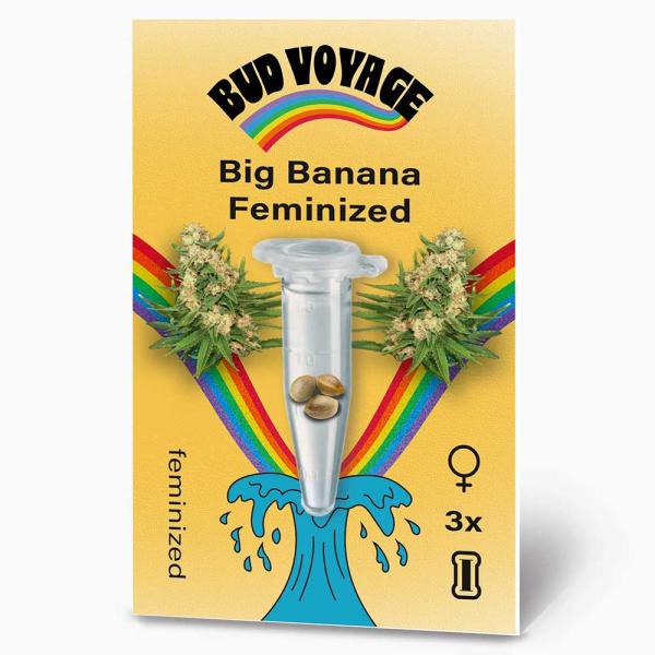 Bud Voyage Big Banana Feminisiert – Stilvolle Verpackung mit modernem Design & klarer Produktkennzeichnung.