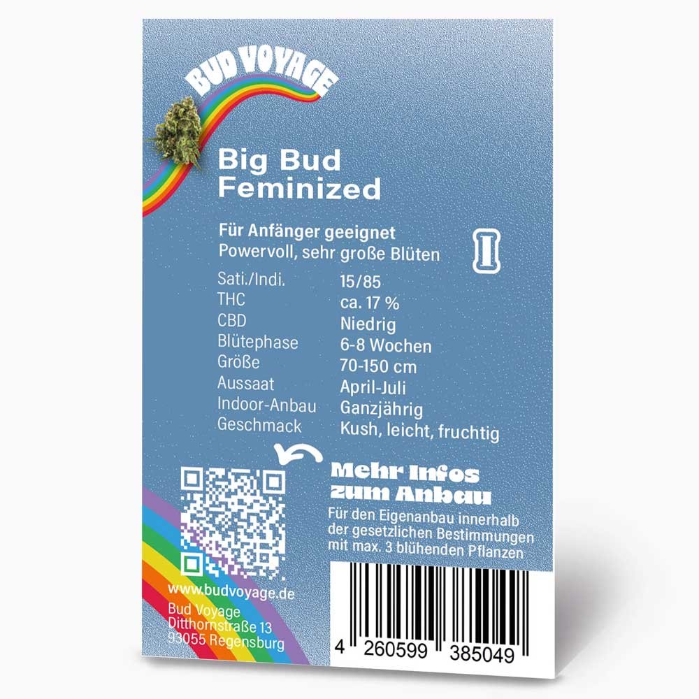 Rückseite der BudVoyage Big Bud Feminisiert Verpackung – Wichtige Informationen zu Blütezeit, Pflanzengröße, THC-Gehalt & Ertrag auf einen Blick.