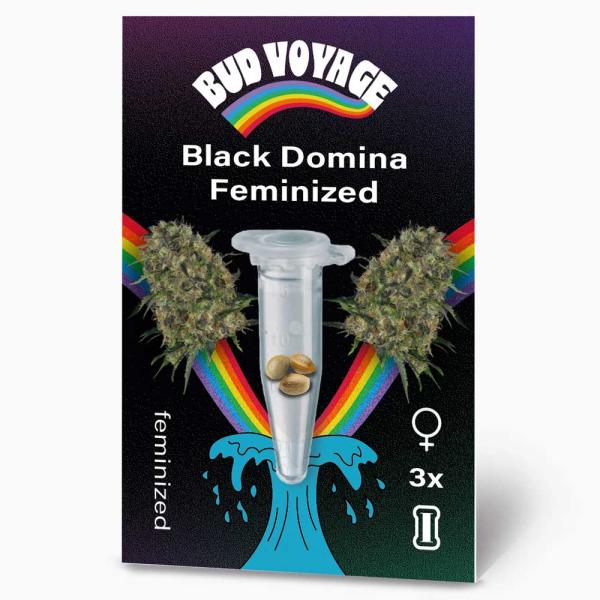 BudVoyage Black Domina Feminisiert – Stilvolle Verpackung mit modernem Design & klarer Produktkennzeichnung.