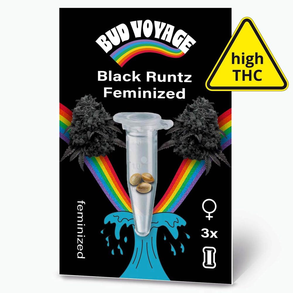 Bud Voyage Black Runtz Feminisiert Verpackung Vorderseite mit 3 Samen