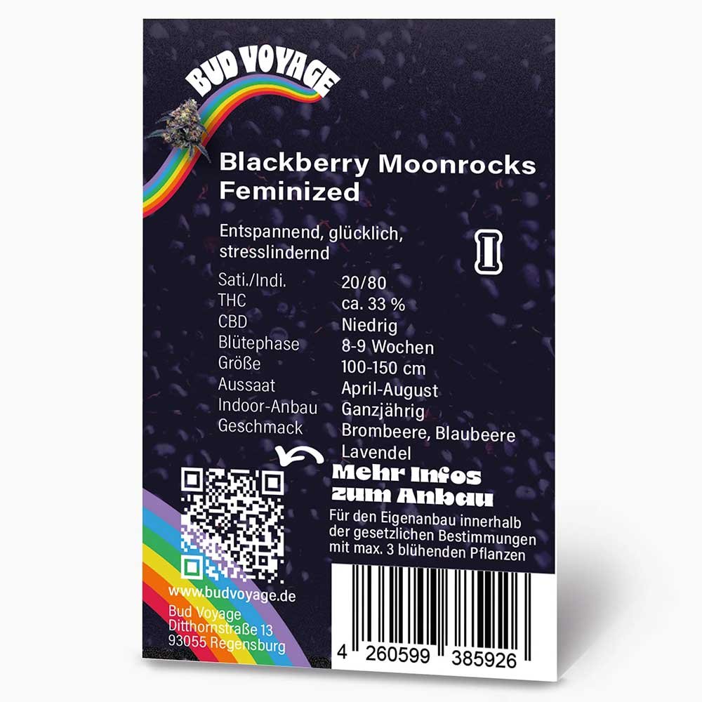 Rückseite der BudVoyage Blackberry Moonrocks Feminisiert Verpackung – Wichtige Informationen zu Blütezeit, Pflanzengröße, THC-Gehalt und Ertrag auf einen Blick.