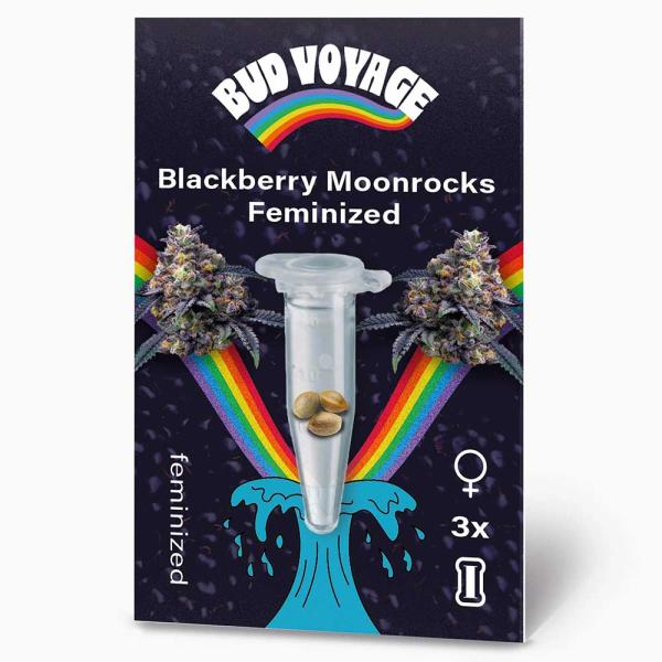 BudVoyage Blackberry Moonrocks Feminisiert – Stilvolle Verpackung mit modernem Design und klarer Produktkennzeichnung.