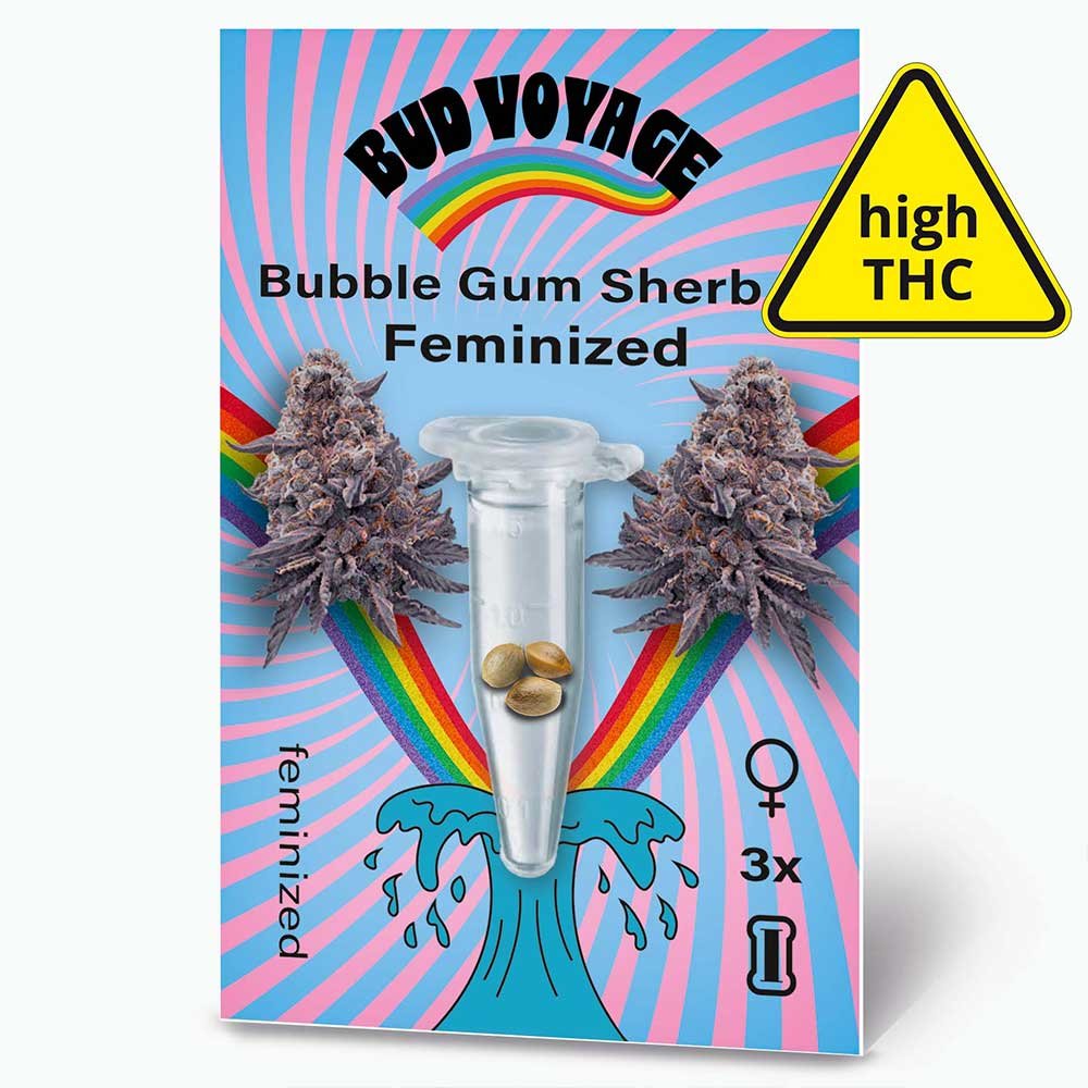 Bud Voyage Bubble Gum Sherb Feminisiert Packung Vorderseite mit Logo und Cannabissblüten
