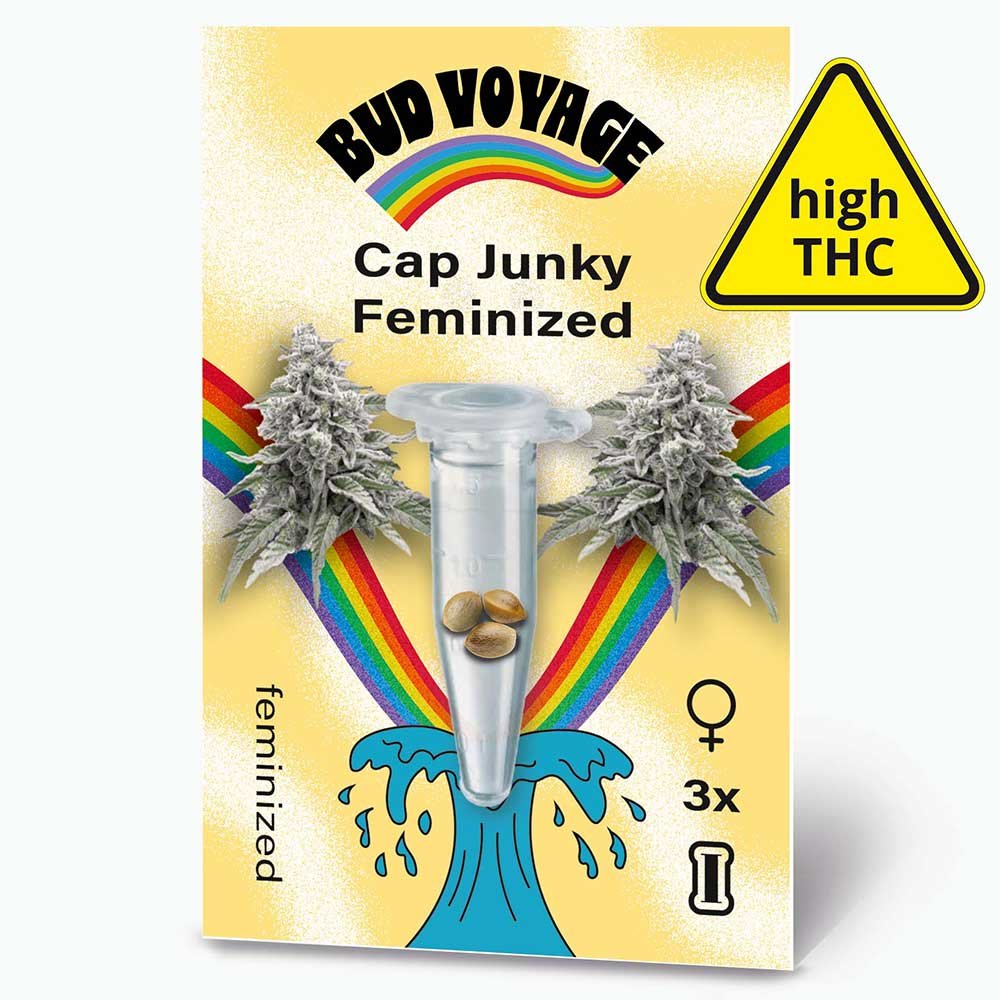 Bud Voyage Cap Junky Feminisiert Packung Vorderseite mit Logo und Cannabissblüten