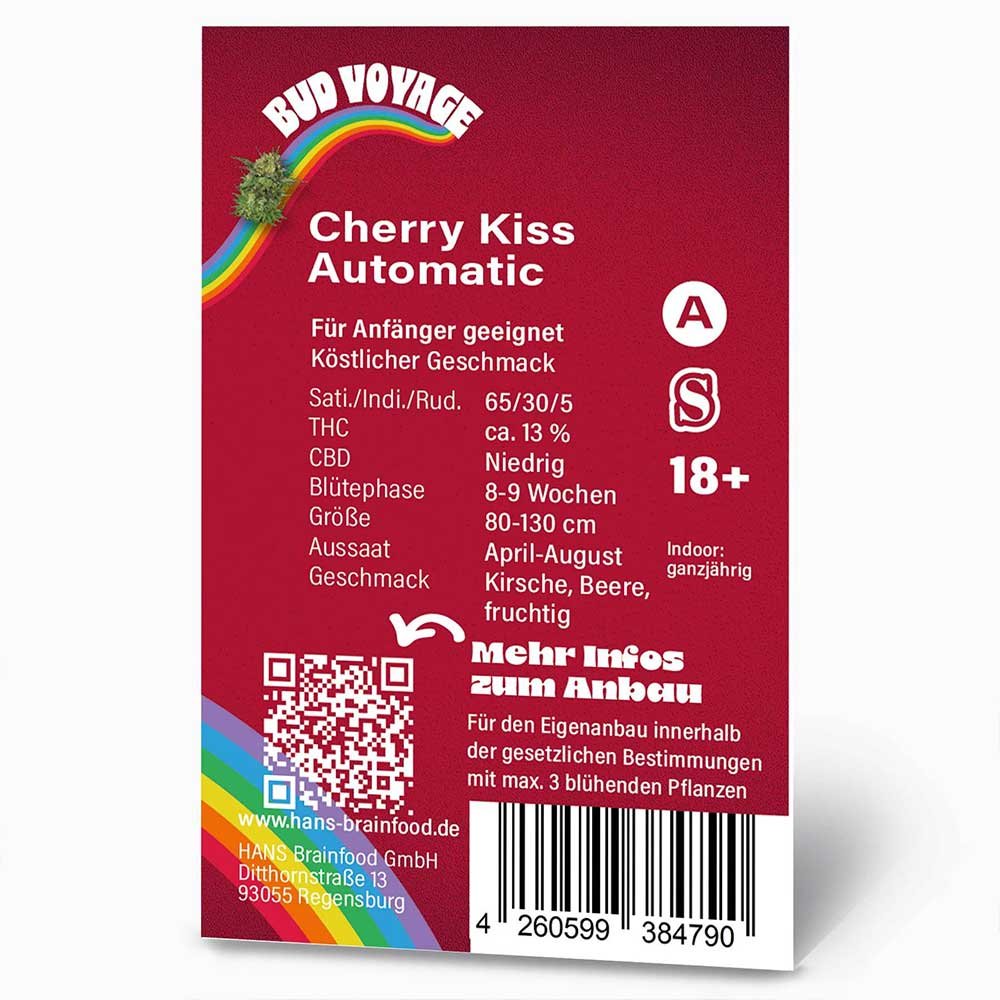 Rückseite der Bud Voyage Cherry Kiss Automatic Verpackung – Wichtige Informationen zu Blütezeit, Pflanzengröße, THC-Gehalt & Ertrag auf einen Blick.